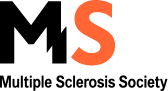 MS logo